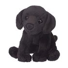 Peluche Para Perro De Laboratorio Douglas Lucy, Color Negro, 13 Cm