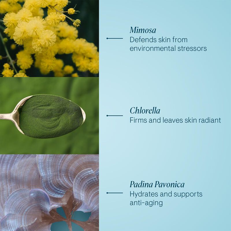 Crema Hidratante Elemis Pro-collagen Marine, 50... image number null