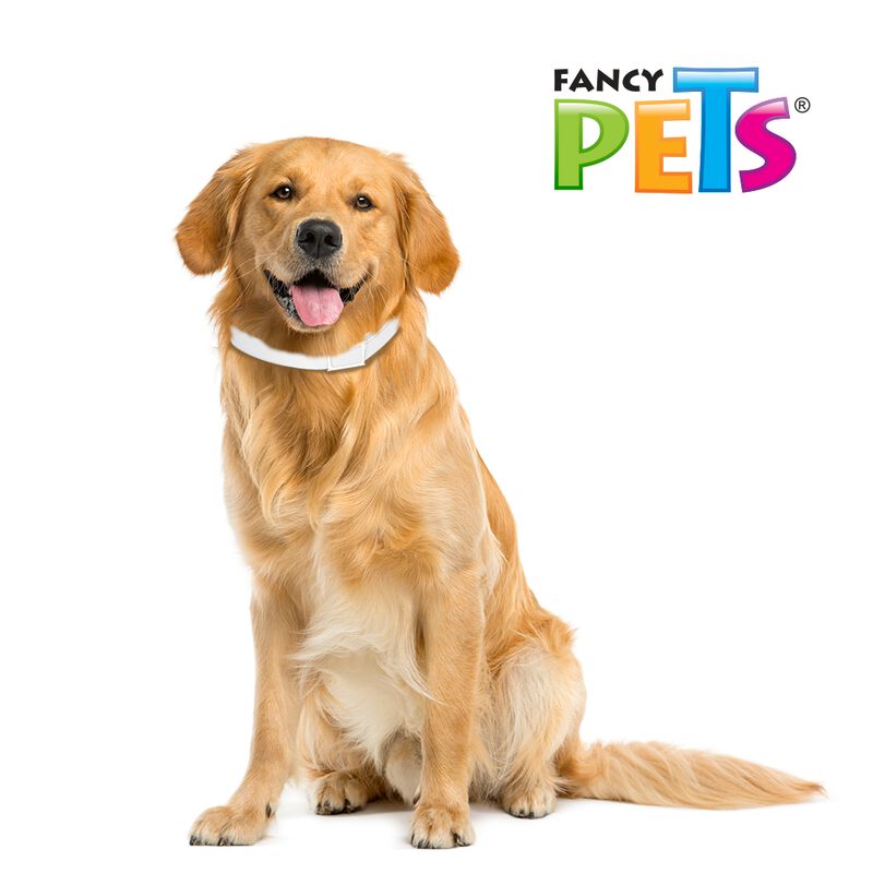 Medical Solutions Collar Antipulgas Y Garrapata... image number null