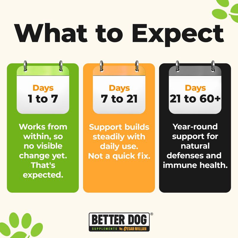 Suplemento Para Perros Better Dog 113 g Apoyo I... image number null
