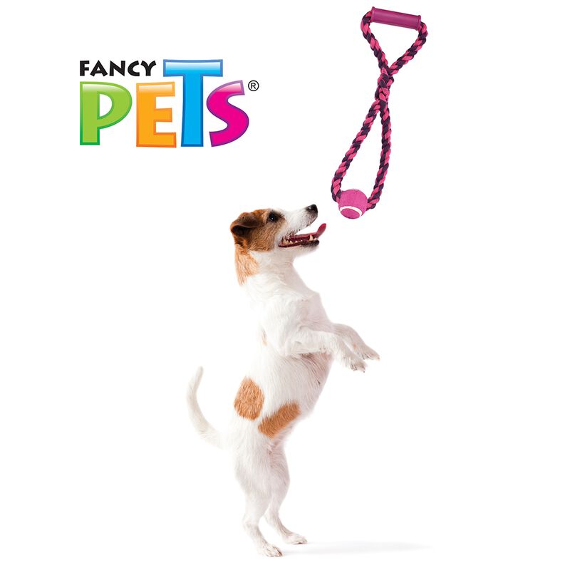 Fancy Pets Juguete Agarradera y Arocon Pelota d... image number null