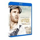 Las Uvas de la Ira (The Grapes of Wrath) (Blu-ray) [Blu-ray]