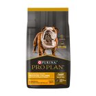 Proplan Adulto Reduced Calorie Bonus Bag 10 +3 kg