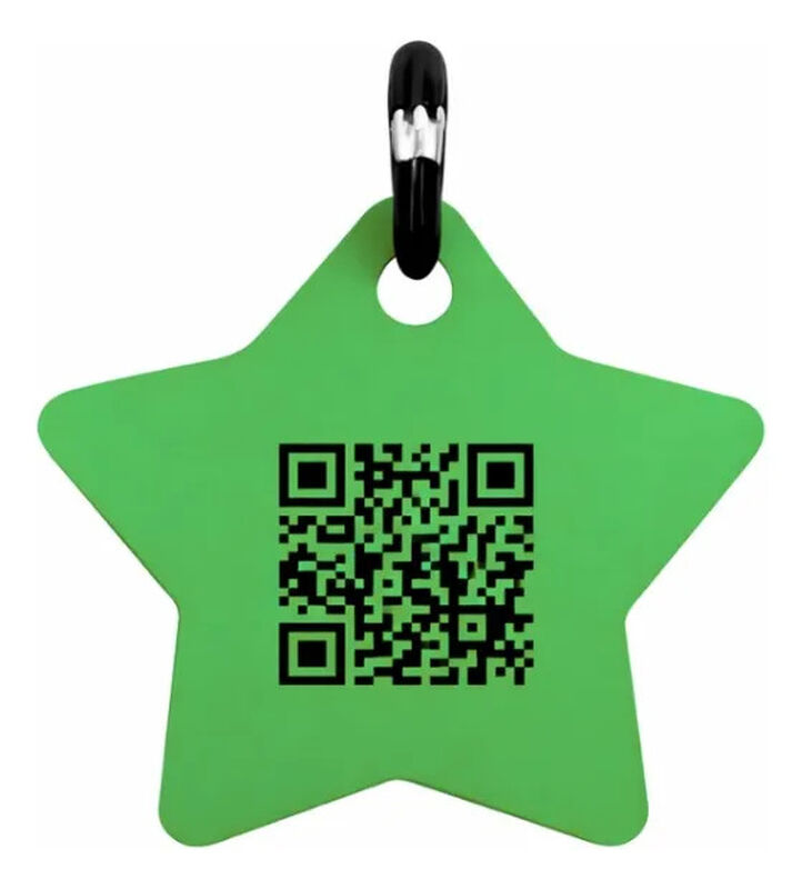 Placa Mascota Qriosa Estrella Verde image number null