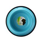 Fancy Pets Plato De Colores Surtidos Para Perro Con 24 Onzas O 680 Gramos