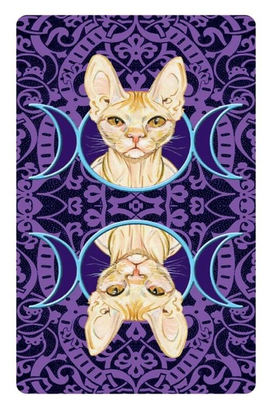 Tarot De Los Gatos Paganos image number null