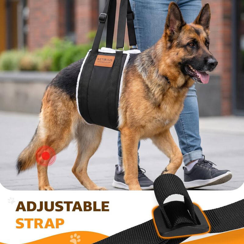 Arn&eacute;s De Soporte Elevado S-etovus Para Perros G... image number null