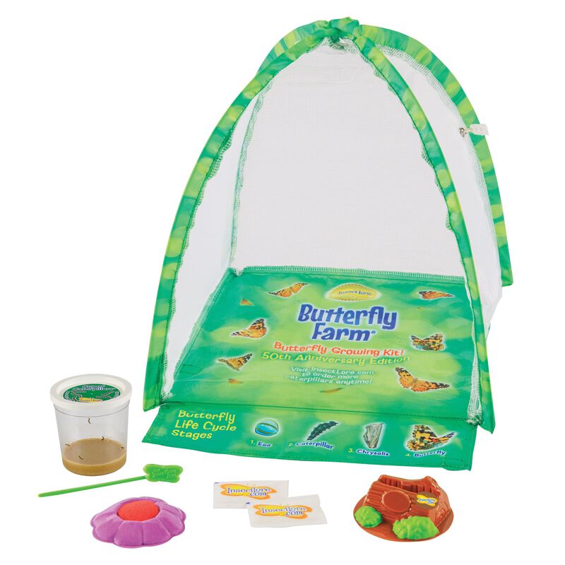 Kit De Mariposas Butterfly Farm Insect Lore Con... image number null
