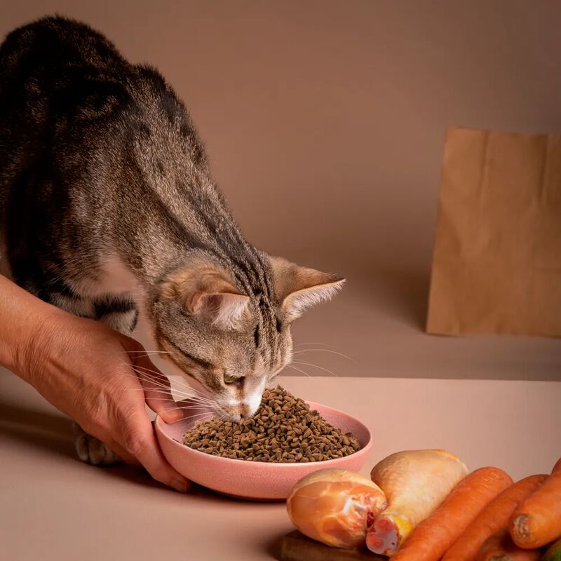 PERFECT SENSE. Alimento para Gato Adulto. 5kg. ... image number null