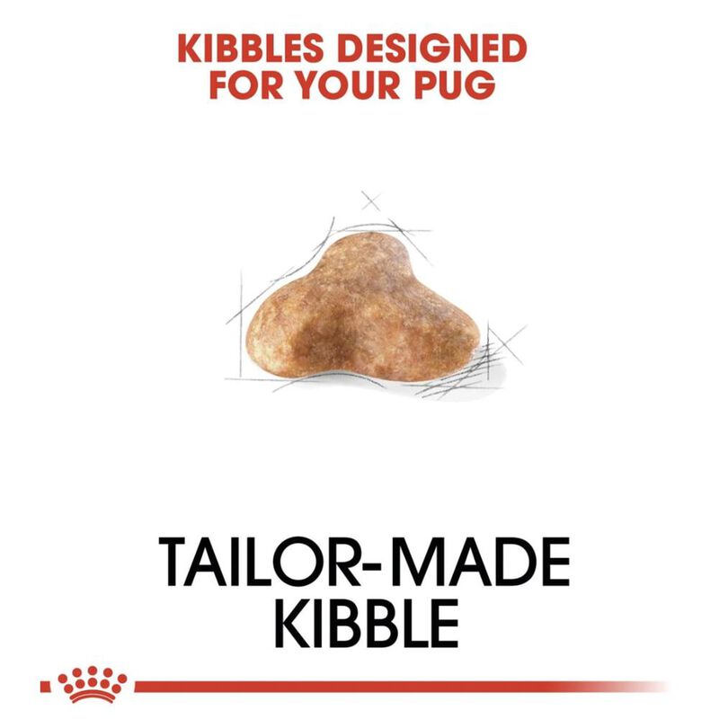 Royal Canin Bhn Pug 4.55 Kg Original Sellado image number null