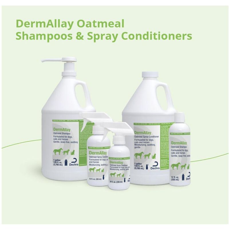 Dermallay shampoo 355 ml Linea DermatologiaLabo... image number null