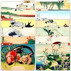 Carpeta De Archivo Parth Impex Pack De 12 Hokusai Con Solapa De 1/3