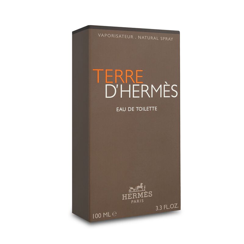 Terre D'Hermes 100 Ml Edt Spray image number null