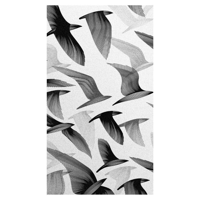 Cuadro Decorativo Impreso 60x80cm Aves Negras image number null