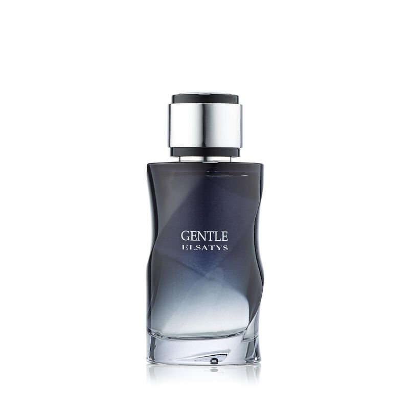 Perfume Reyane Tradition Gentle Elsatys Eau De ... image number null