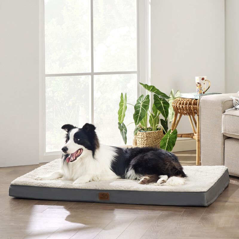 Cama Ortop&eacute;dica Para Perros, Extra Grande, Con ... image number null