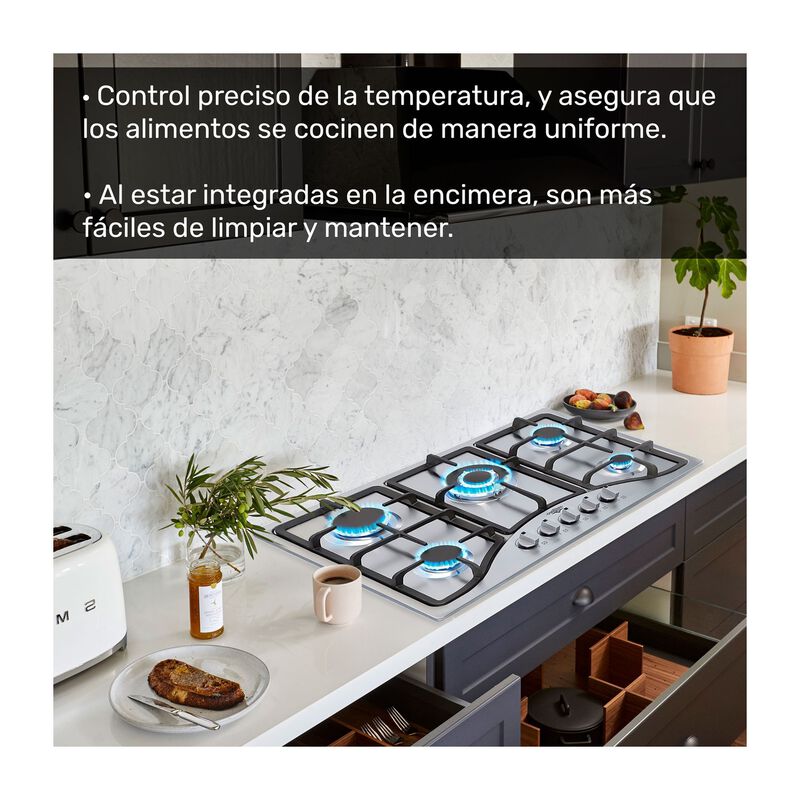 Parrilla Estufa Gas Lp Natural 5 Quemadores Ace... image number null