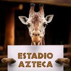 Bioparque + Transporte Incluido CDMX Estadio Azteca, sábado 25 de octubre.