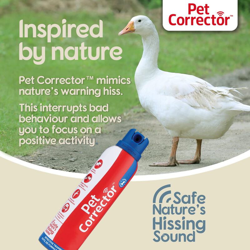 Corrector Para Mascotas Dog Trainer, 30 Ml (paq... image number null