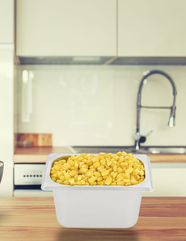 Inserto acero inoxidable noveno 1/9 6.5 Shorbul... image number null