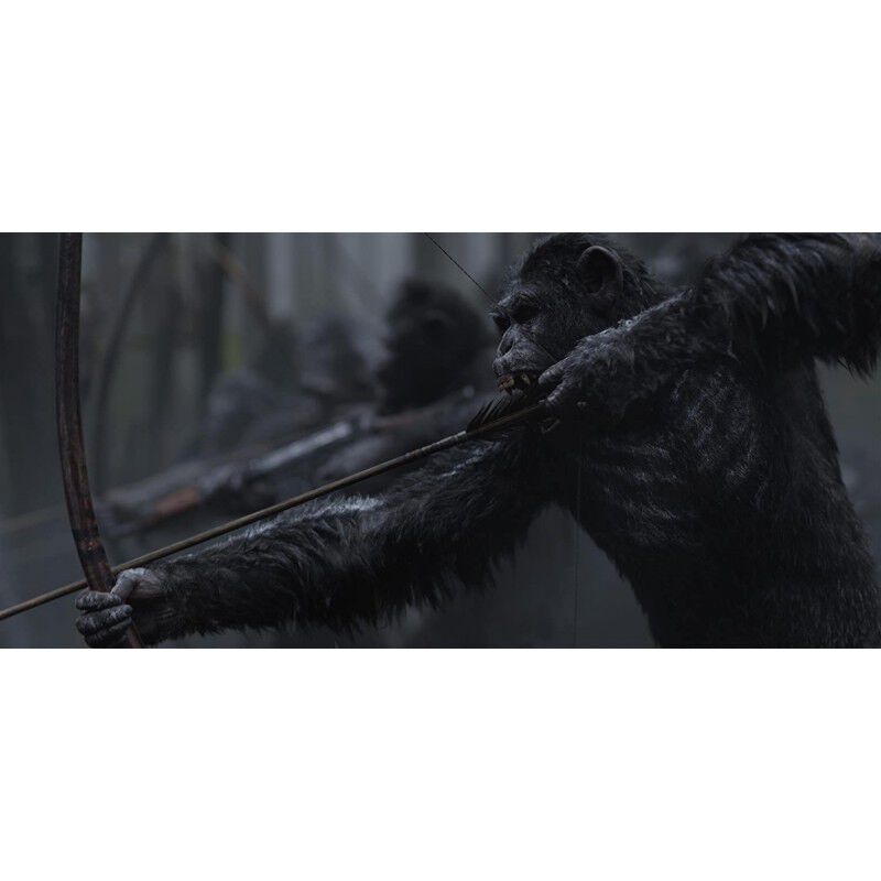 La Guerra Del Planeta De Los Simios Blu-Ray Uhd... image number null