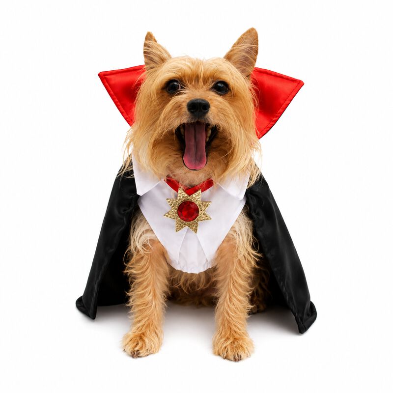 Disfraz Vamperry Perro Halloween Talla 1 Mascot... image number null