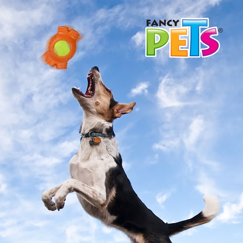 Fancy Pets Juguete Hueso con Pelota de Tenis pa... image number null