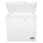 Congelador Horizontal AURUS AFC09W 9p3