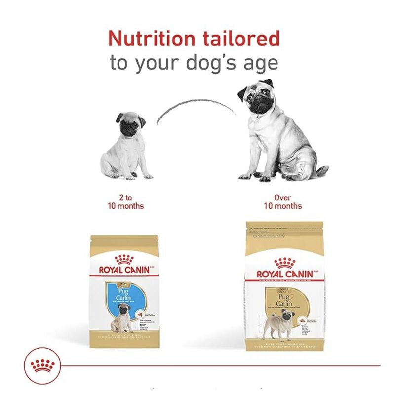 Royal Canin Bhn Pug Puppy 1.14 Kg Original Sell... image number null