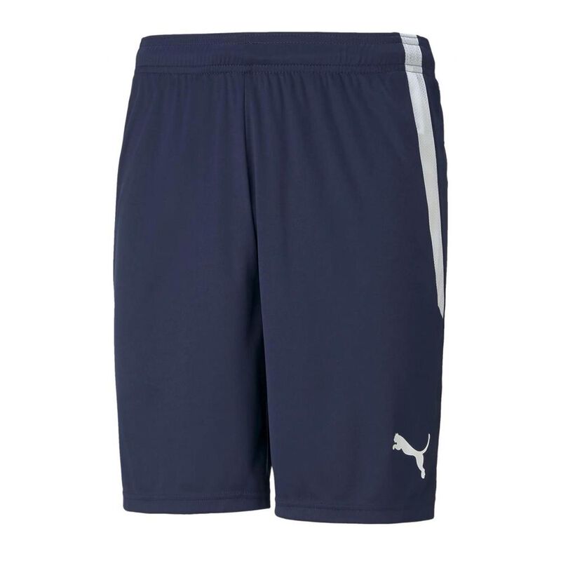 Short Puma TeamLIGA para Hombre image number null