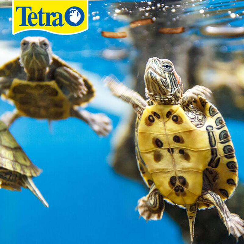 Tetra Reptomin Floating Sticks Alimento para To... image number null