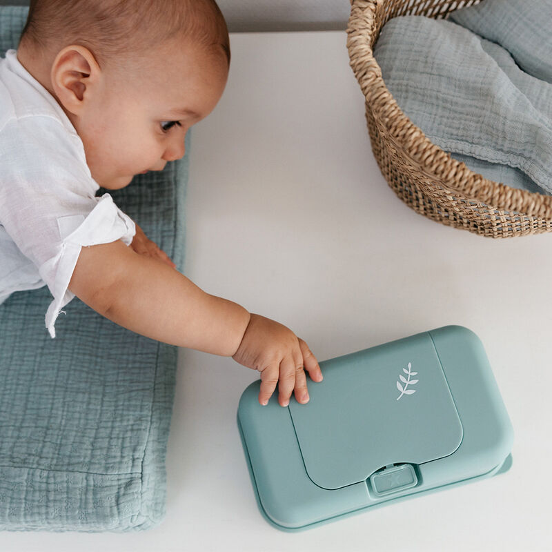 Toallitas Funkybox To Go Menta - Hojas image number null