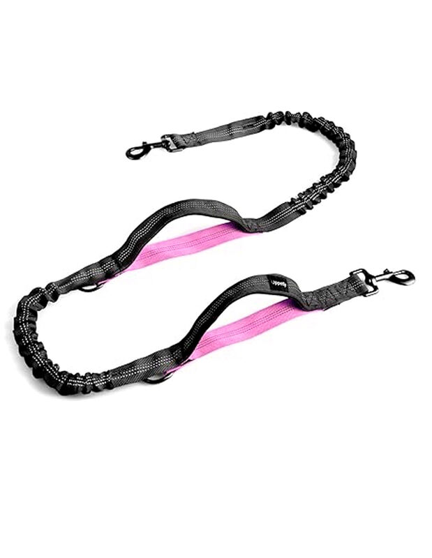 Doggy Go image number null