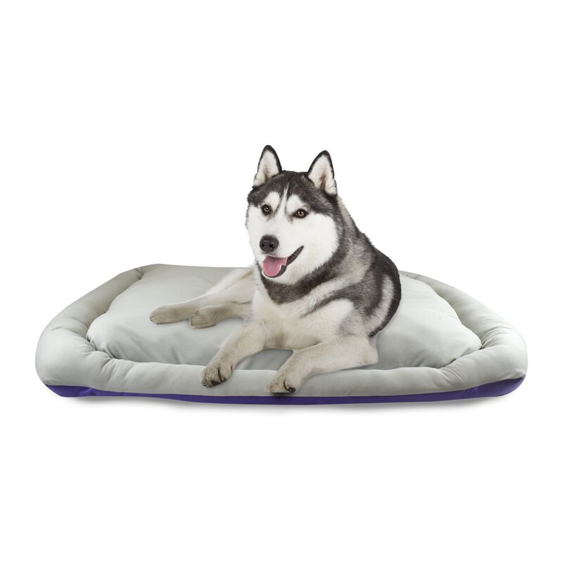 Fancy Pets Cama Rizzo para Perro Color Morado T... image number null