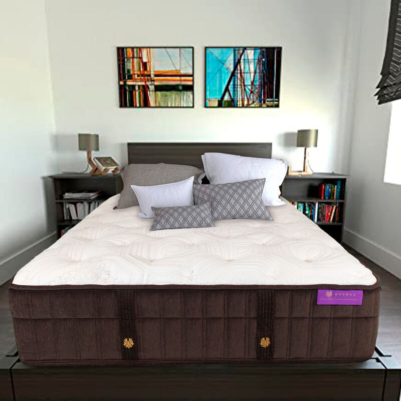 Colch&oacute;n Queen Size Magnus Roosevelt&nbsp;&nbsp; image number null