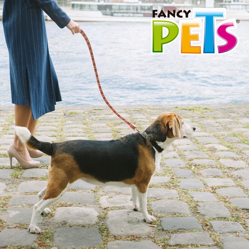 Fancy Pets Correa Berrydog Color Rojo para Perr... image number null