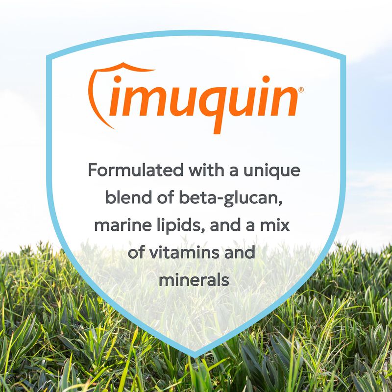 Suplemento Nutramax Imuquin Immune Health Para ... image number null