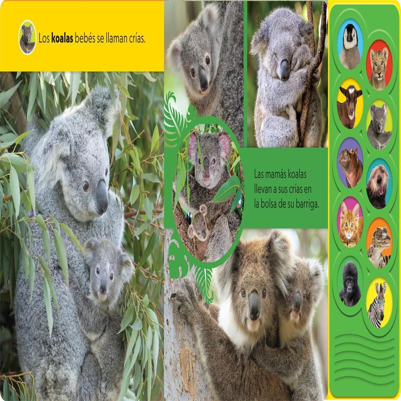 &iexcl;animales Beb&eacute;s! (libro Con 10 Botones De Sonid... image number null