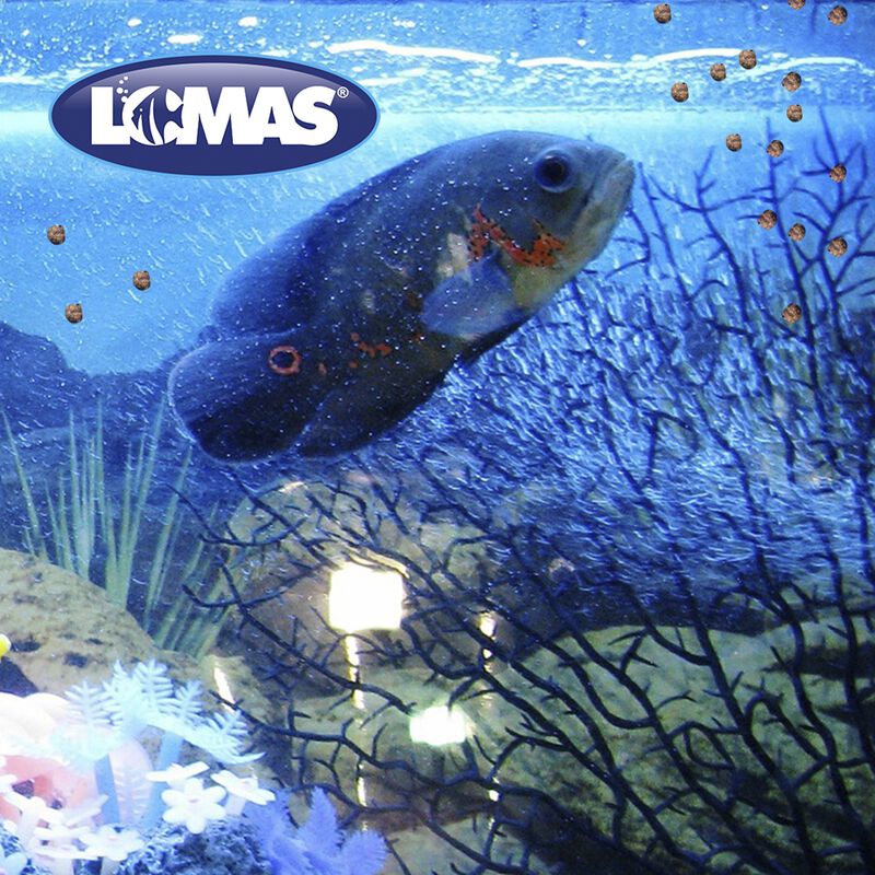Lomas Alimento Premium Para Peces Betta Con 20 ... image number null
