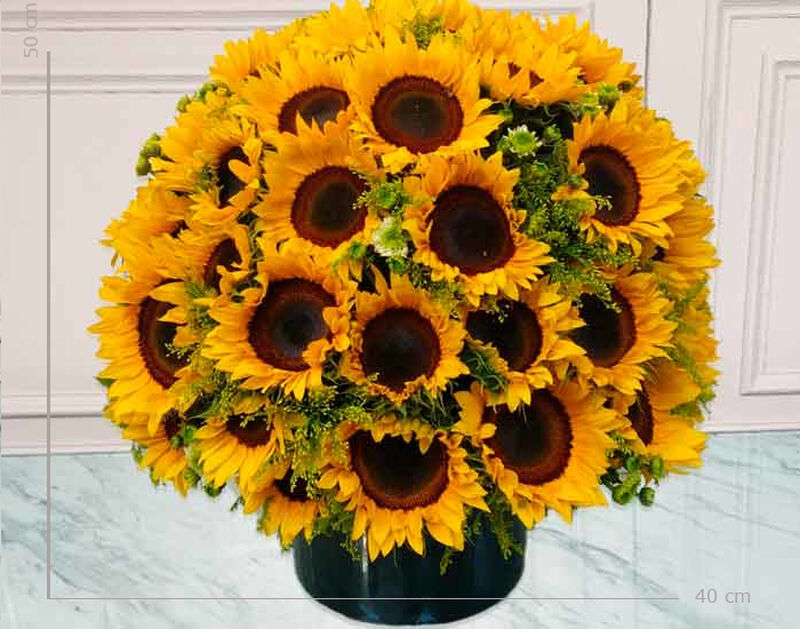 Marseille image number null