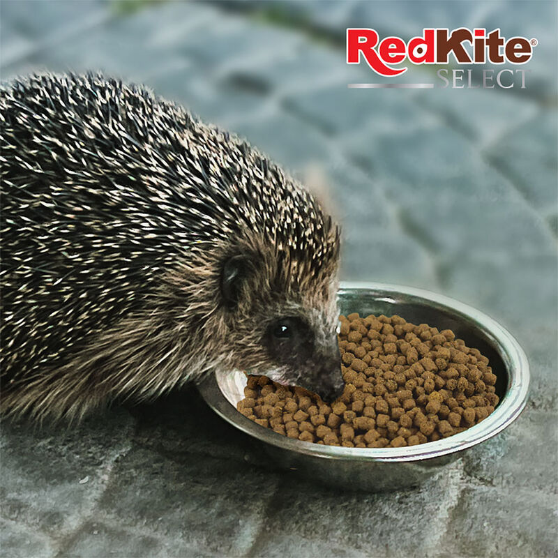Redkite Alimento para Erizos Select 800g image number null