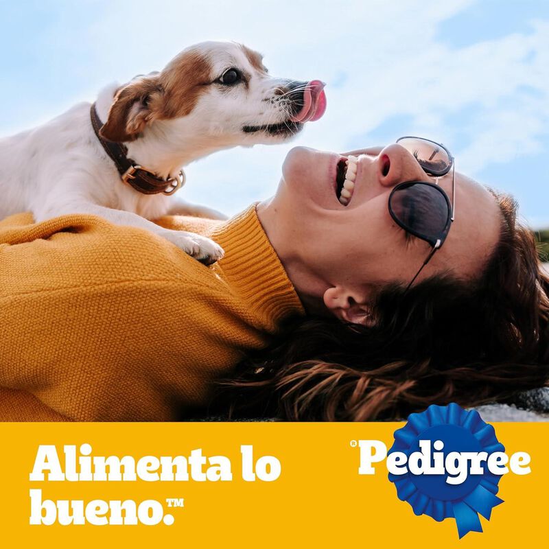 Pedigree Adulto 20 Kg M&aacute;s 2 Gratis 22kg image number null
