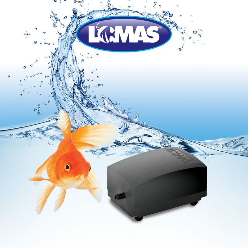 Lomas Aqua Jet Bomba De Aire De 5 Galones Para ... image number null