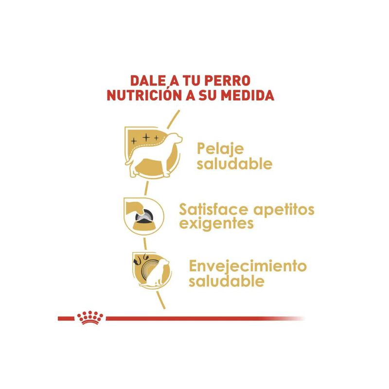 Royal Canin Bhn Yorkshire Terrier 4.55 Kg Origi... image number null