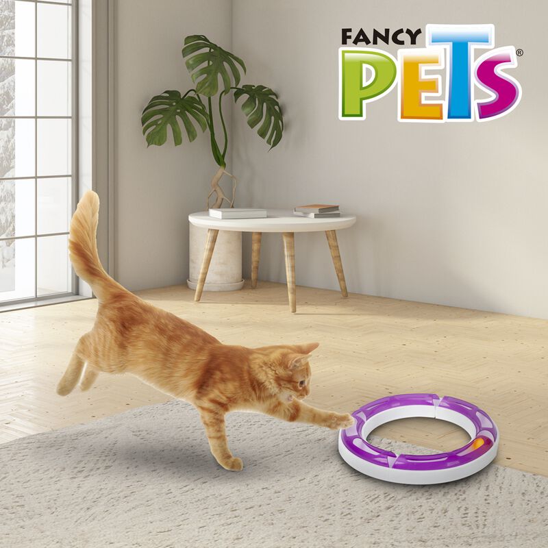 Fancy Pets Circuito Play Juguete Para Gato image number null