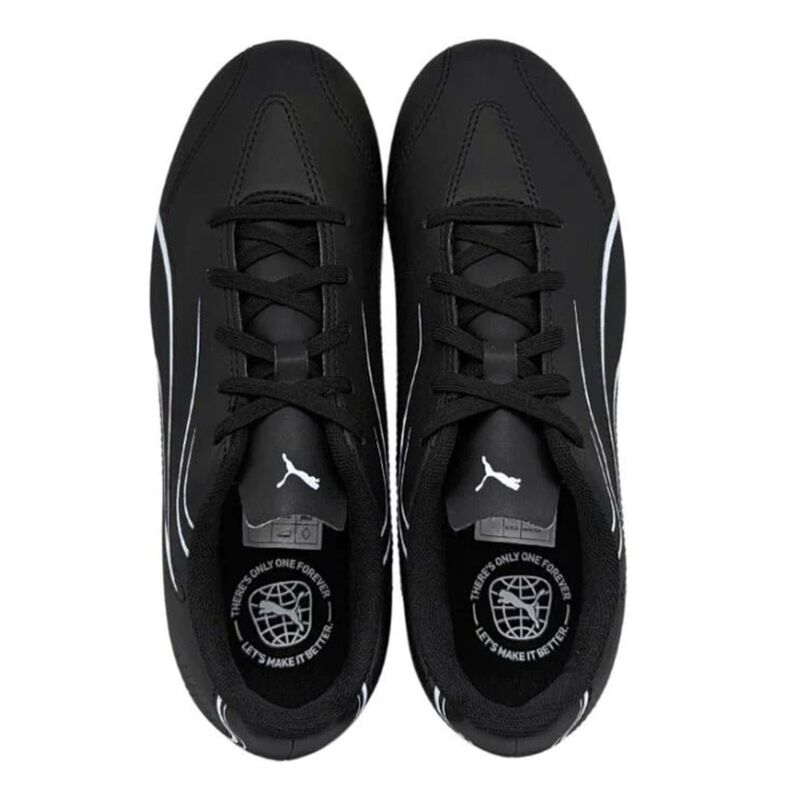 Zapatos de F&uacute;tbol Puma Vitoria FG/AG 107483 01 image number null