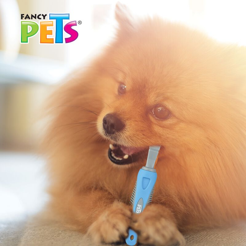 Fancy Pets Cepillo De Dental Triple Para Perro ... image number null