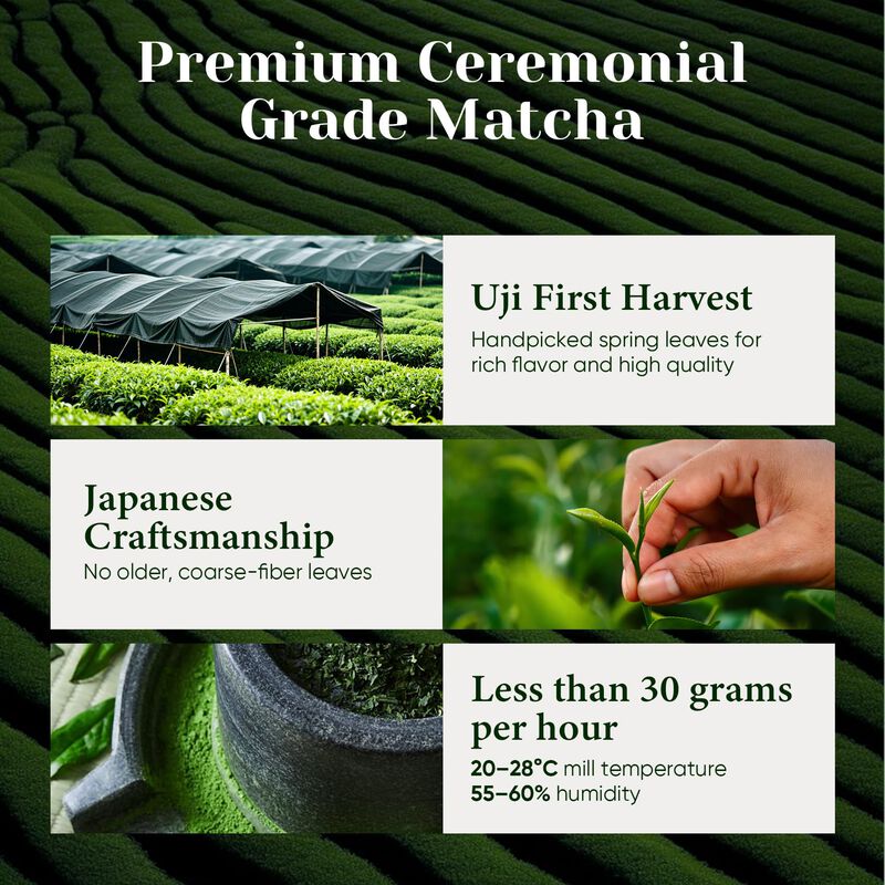 Polvo De Matcha Venture Pal Superior Grado Cere... image number null