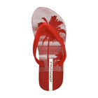 Sandalias A&eacute;ropostale Para Hombre Casual Playa