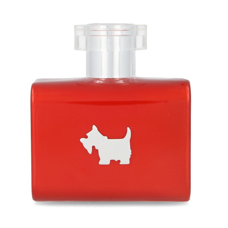 Ferrioni Red Terrier 100 Ml Edt Spray image number null